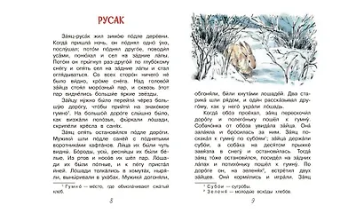 Акула - фото 6