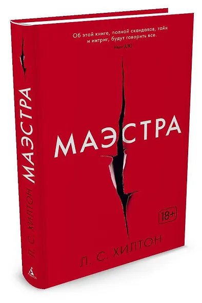 Маэстра. Книга 1 - фото 2