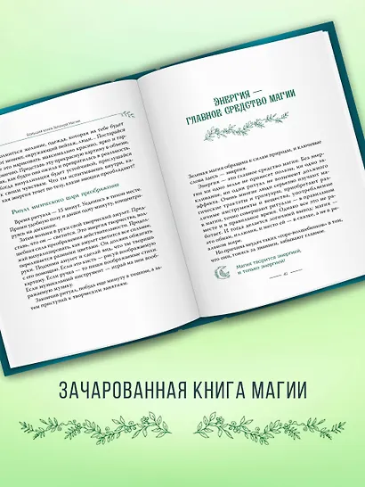 Большая книга Зеленой магии. Все о травах, камнях, амулетах и ритуалах - фото 6