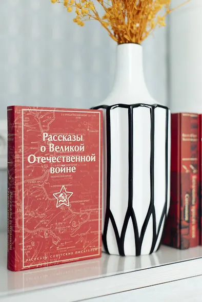 Рассказы о Великой Отечественной войне - фото 10