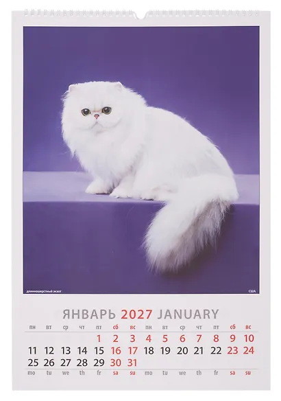 Календарь 2027г 350*500 «Просто кошки»   настенный, на спирали - фото 3