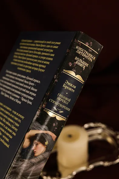 Грозовой перевал. Стихотворения - фото 10