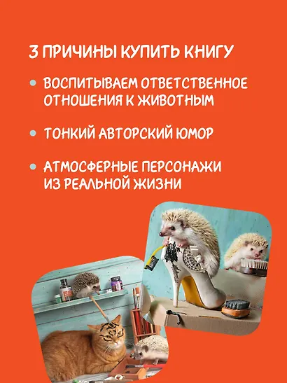 Лето кота Пармезанова - фото 4