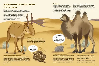 Животные России - фото 8