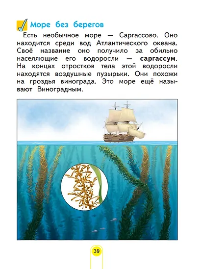 Окружающий мир. 2 класс. Учебное пособие . В 2-х частях. Часть 2 - фото 4