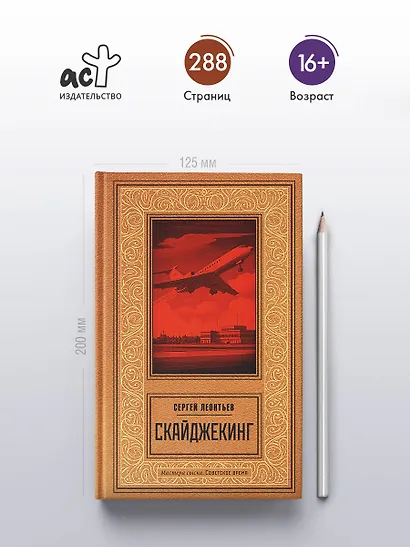 Скайджекинг - фото 5