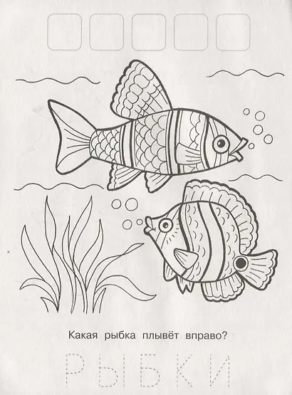 Напиши. Наклей. Раскрась (Белка) - фото 3