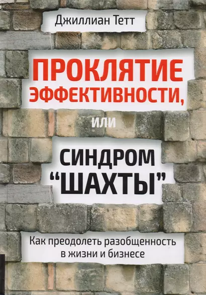 Проклятие эффективности, или Синдром "шахты" : Как преодолеть разобщенность в жизни и бизнесе - фото 1