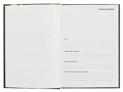 Ежедневник недат. А5 128л "Ну и ладно" 7БЦ, ламинация Soft Touch,  печать по фольге, офсет - фото 3