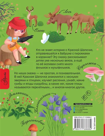 Красная Шапочка и тайны леса - фото 2