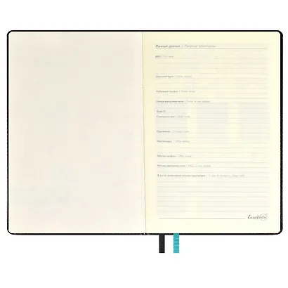 Ежедневник недат. А5 120л "Сариф" черный, иск.кожа, тв.переплет, обл.поролон, блинт.тиснение, офсет, ляссе - фото 4