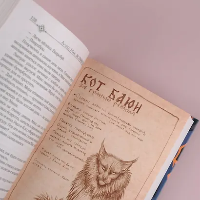 За гранью Разлома - фото 9