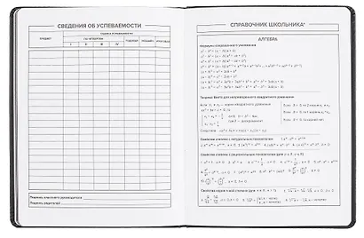 Дневник шк. "Черный с широким ляссе" кожзам, тв.переплёт, шелкография в одну краску, пантон, одно ляссе, загругл.углы, универс.шпаргалка - фото 6