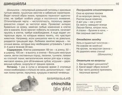 Домашние питомцы. 16 демонстрационных картинок с текстом на обороте - фото 3