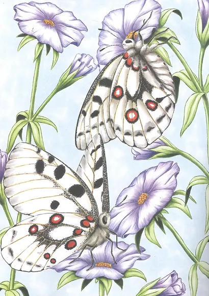 Яркий мир природы - фото 2