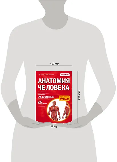 Анатомия человека: 2 издание - фото 12