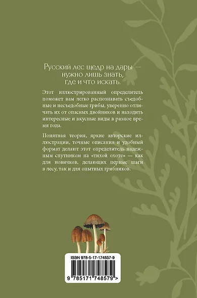 Грибы русского леса. Иллюстрированный определитель - фото 2