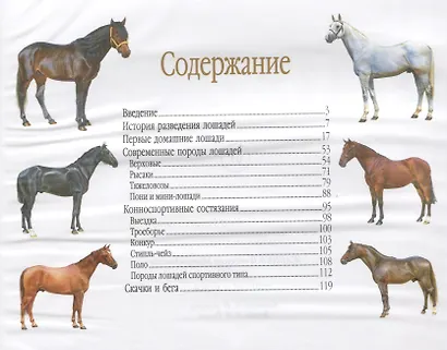 Лошади и пони. Иллюстрированная энциклопедия - фото 2