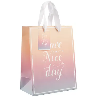 Пакет А5 23*18*10 Have A Nice Day нейтр., бум.мат.ламинат - фото 1