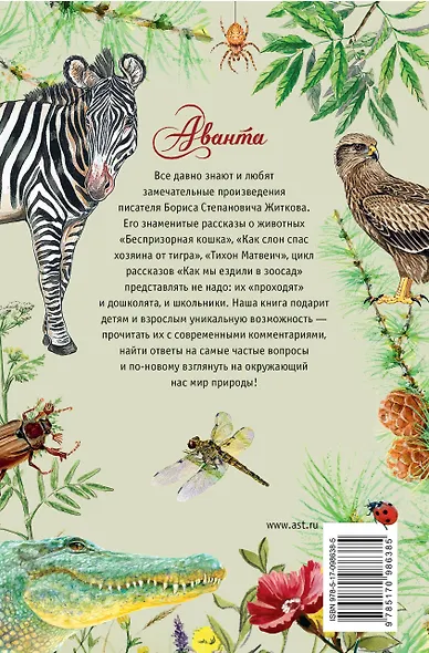 Беспризорная кошка - фото 2