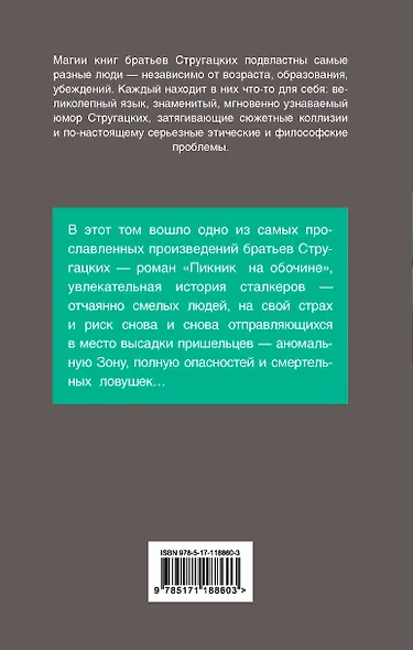 Пикник на обочине - фото 2