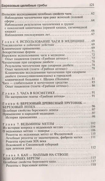 Березовые целебные грибы. Эффективное лечение онкологии, диабета, гинекологии... - фото 3