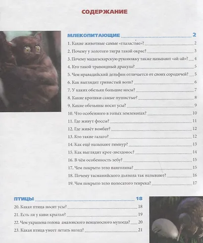 Удивительные животные. Энциклопедия - фото 6