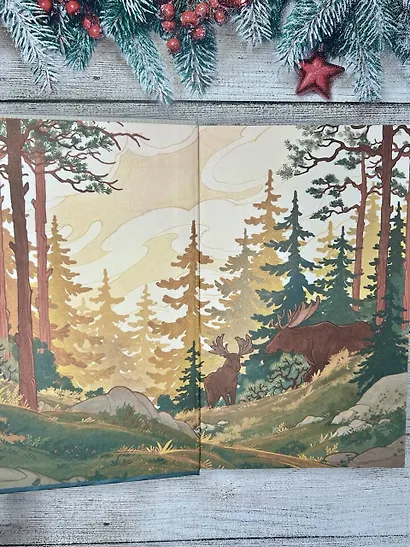 Калевала. Карело-финский эпос - фото 12