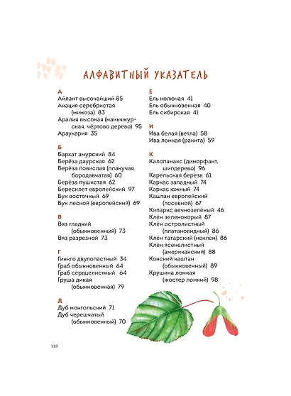 Деревья. Атлас-определитель - фото 9