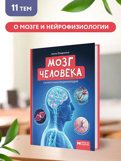 Мозг человека: самая умная энциклопедия - фото 8
