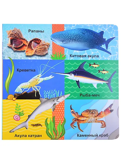 Морские обитатели - фото 5