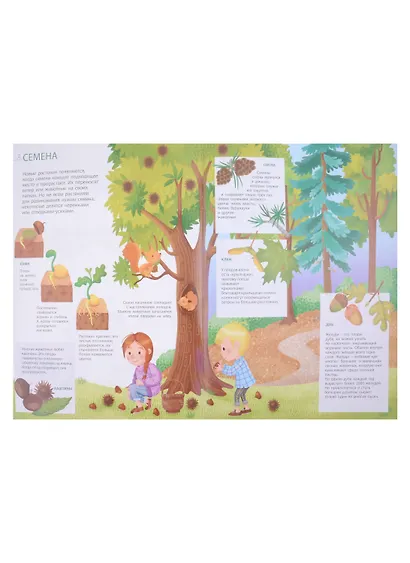 Первый атлас для детей. Природа - фото 2