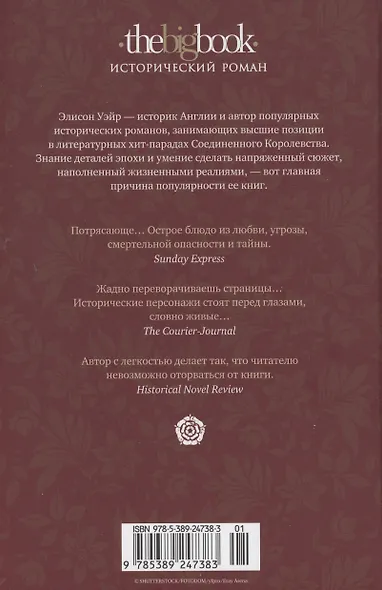 Елизавета I. Брачная игра - фото 13