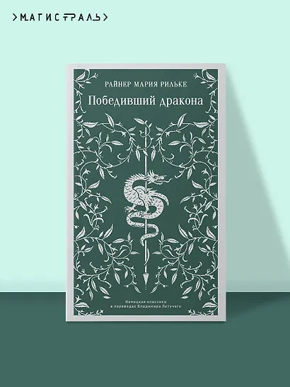 Победивший дракона - фото 4