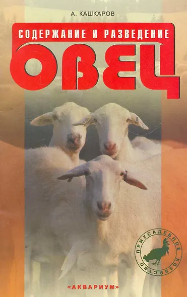Содержание и разведение овец. - фото 1