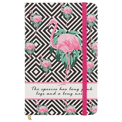Записная книжка «Tropical birds», 96 листов, А6 - фото 4