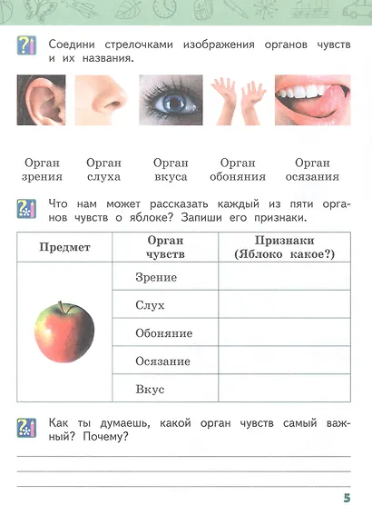 Рабочая тетрадь к учебнику В.А. Самковой, Н.И. Романовой "Окружающий мир". 2 класс. В двух частях. Часть 1 - фото 4