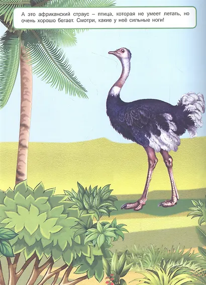 Мы идём в поход. Книжка с многоразовыми наклейками - фото 2