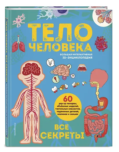 Тело человека. Все секреты. Большая интерактивная 3D-энциклопедия - фото 3