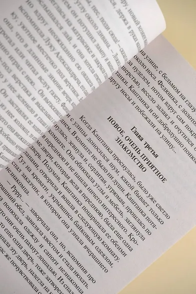 Дама с собачкой - фото 9