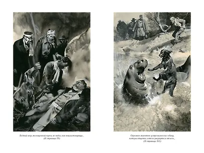 Таинственный остров - фото 12