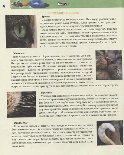 Кошки. Энциклопедия - фото 5