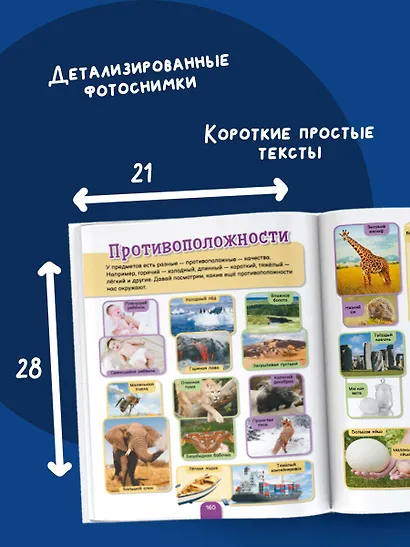 5000 фотографий, которые можно рассматривать целый год - фото 5