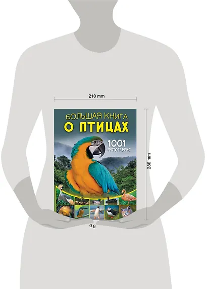 Большая книга о птицах. 1001 фотография - фото 12