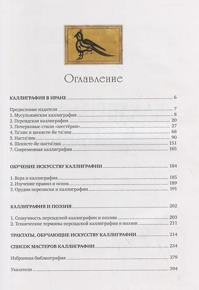 Иранская каллиграфия. Знакомство с традицией - фото 2