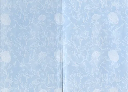 Сказки волчьего полуострова. Король на площади - фото 5