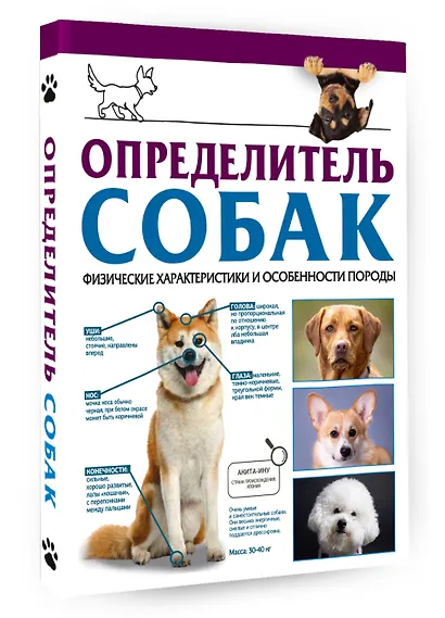 Определитель собак. Физические характеристики и особеннности породы - фото 3