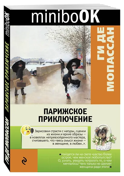 Парижское приключение - фото 3