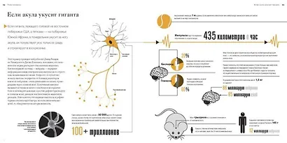 Большая книга аналогий. Антиучебник, который поможет влюбиться в науку - фото 8