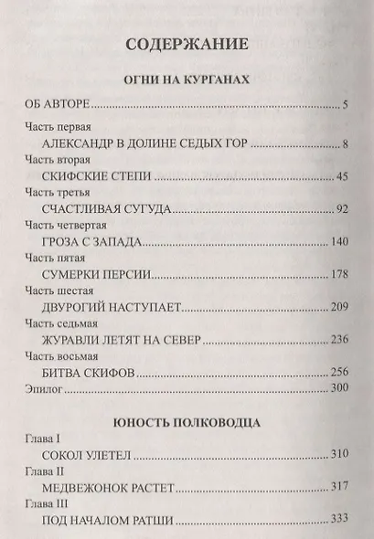 Огни на курганах - фото 2